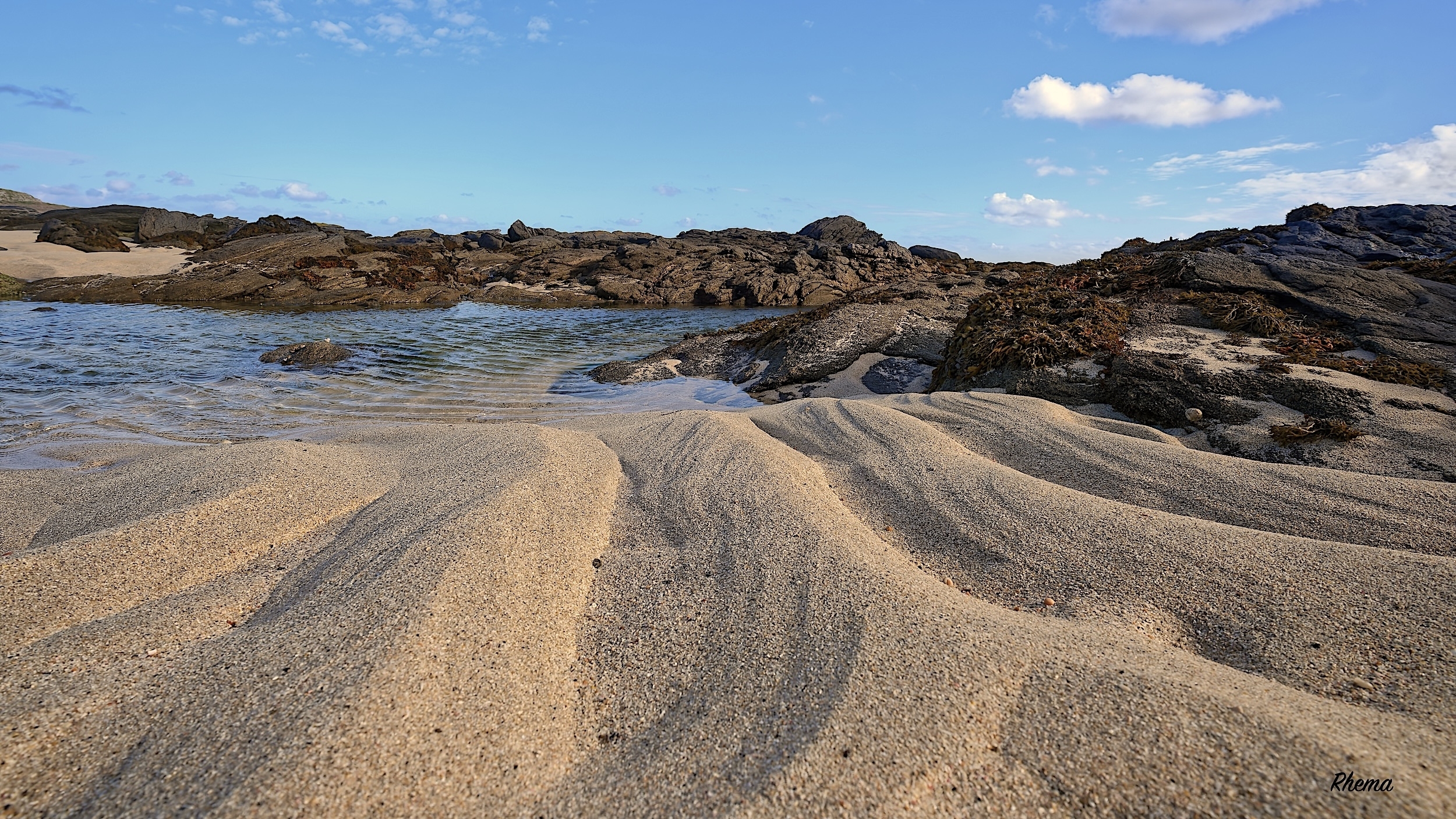 large.1RAW1150.jpeg.96f892e7c35807415ded