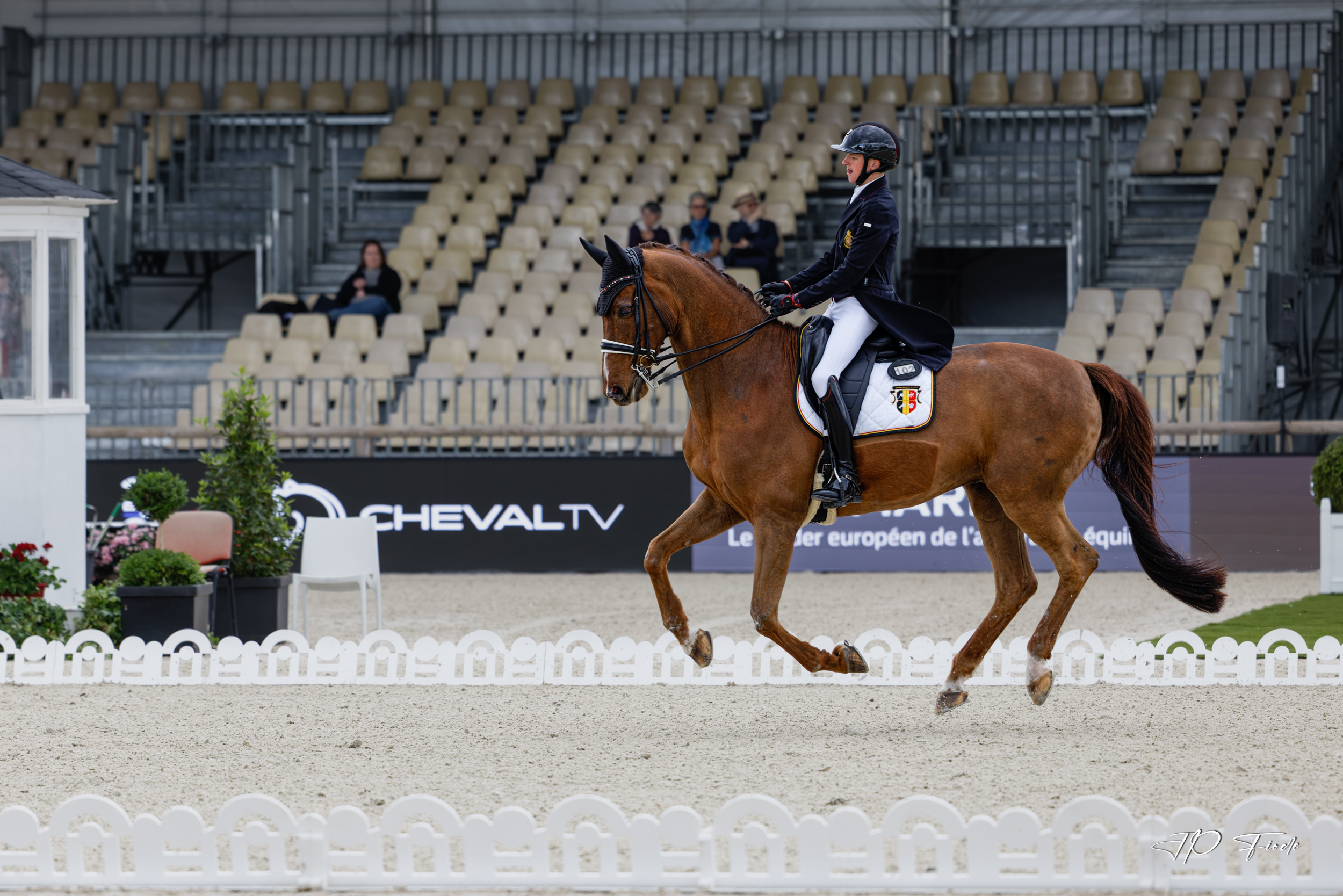 large.Dressage_17A2960.jpg