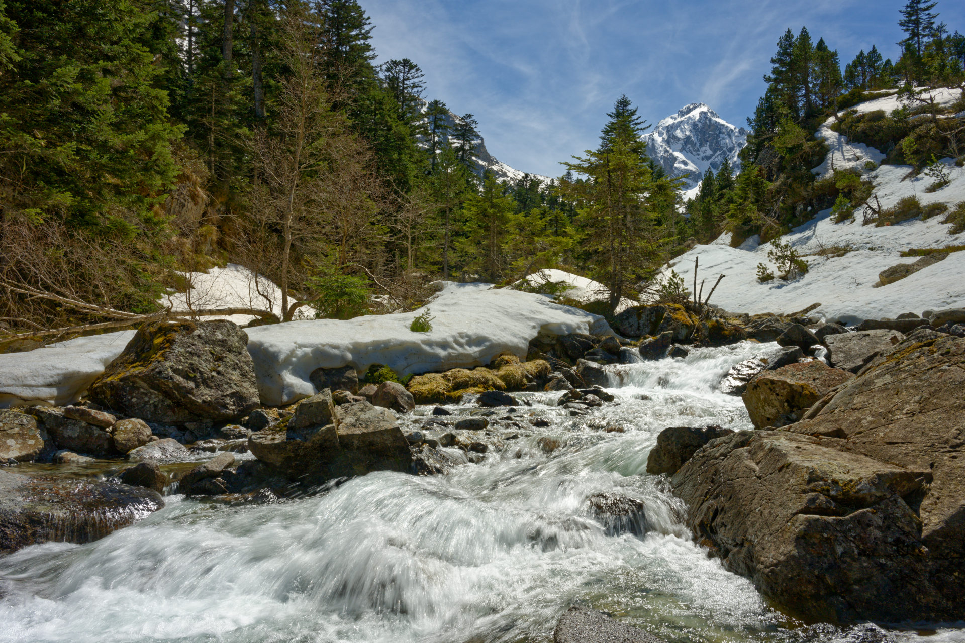 large._DSD8497.jpg