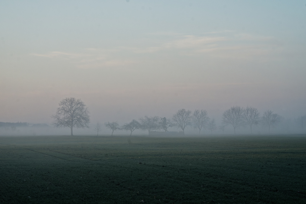 obenheim boofzheim 100mm (4).jpg