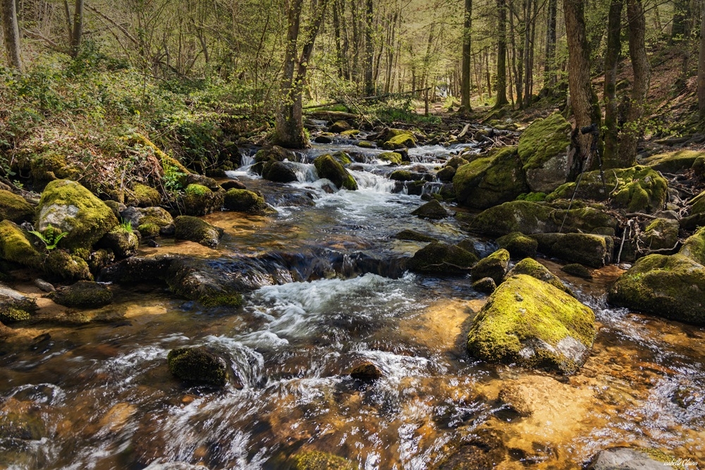 pisserottes 1 fp.jpg