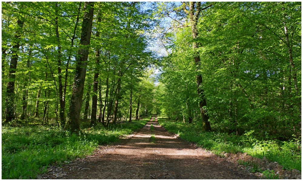 15 04 2026 Scram Sud Vézelay (6).jpg