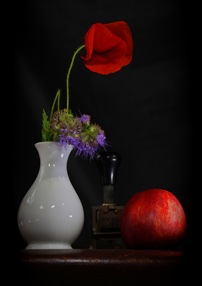 0S6A2630_Gimp_F2P_small.JPG