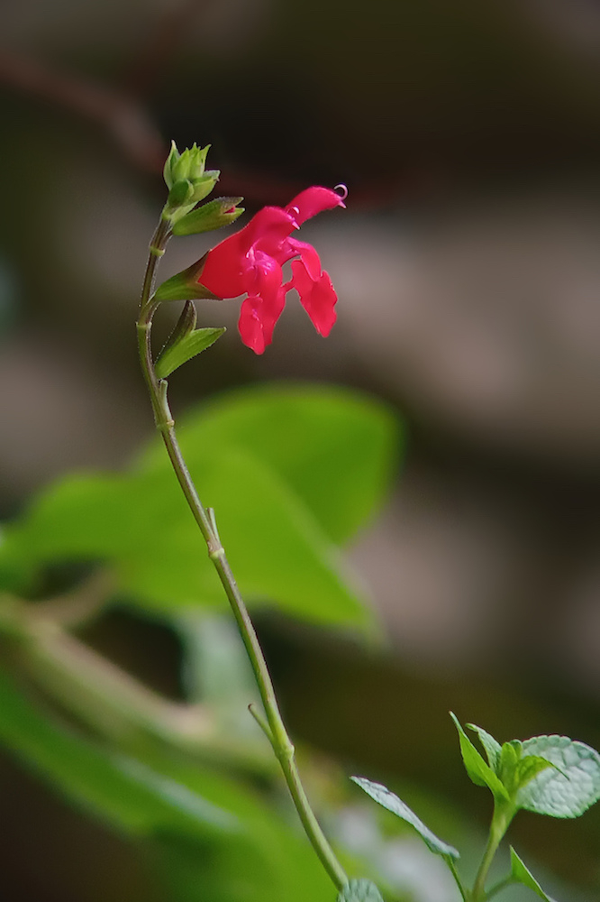 20260516_172536.jpg