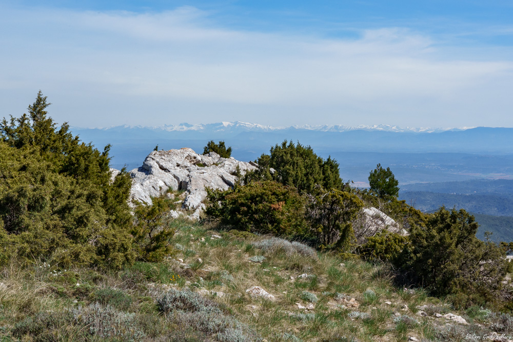 2026_04_10_007_Montagne_Sainte_Victoire.jpg