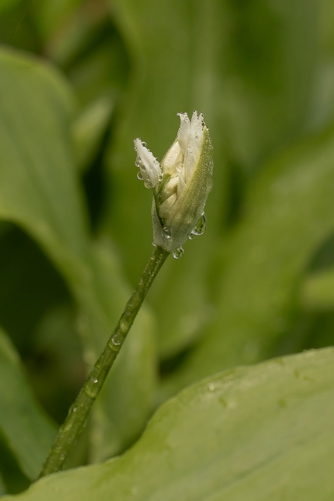 2G6A8132.jpg