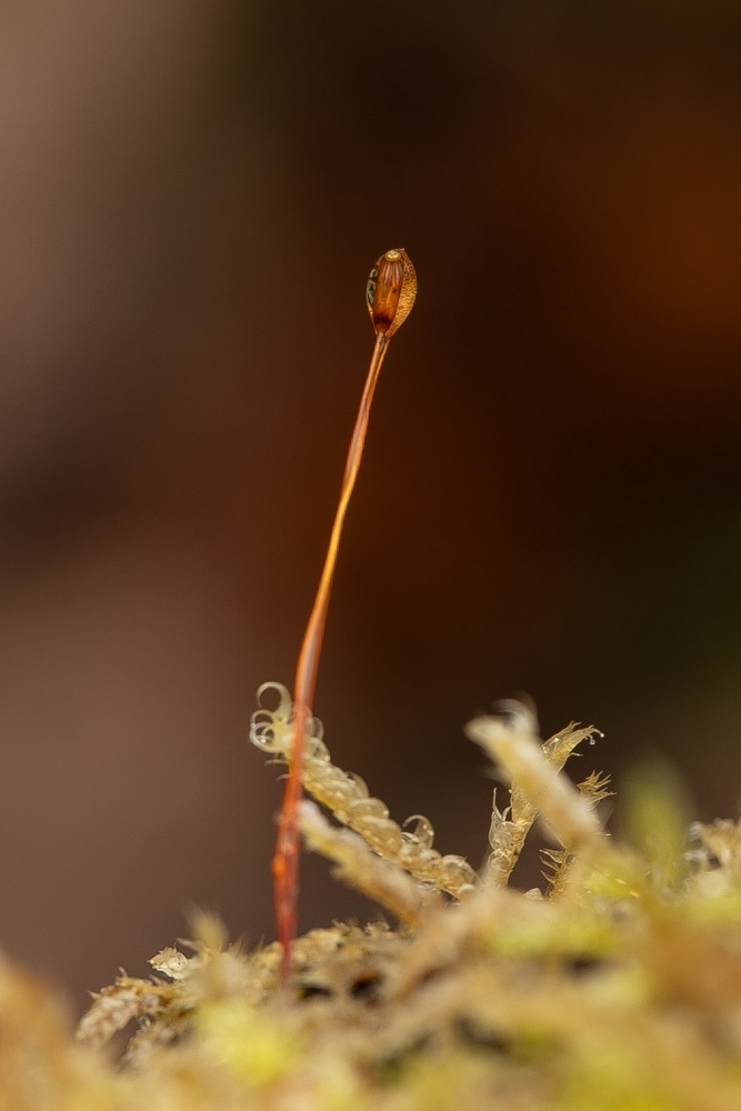 2G6A8172.jpg