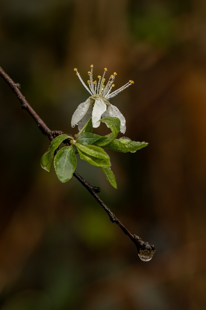 2G6A8192.jpg