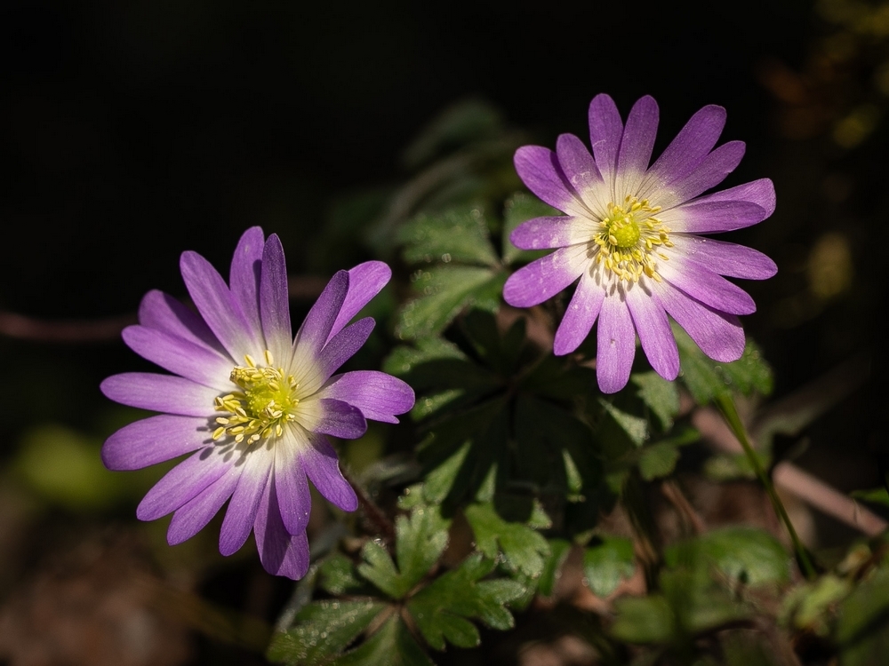 2G6A8263.jpg