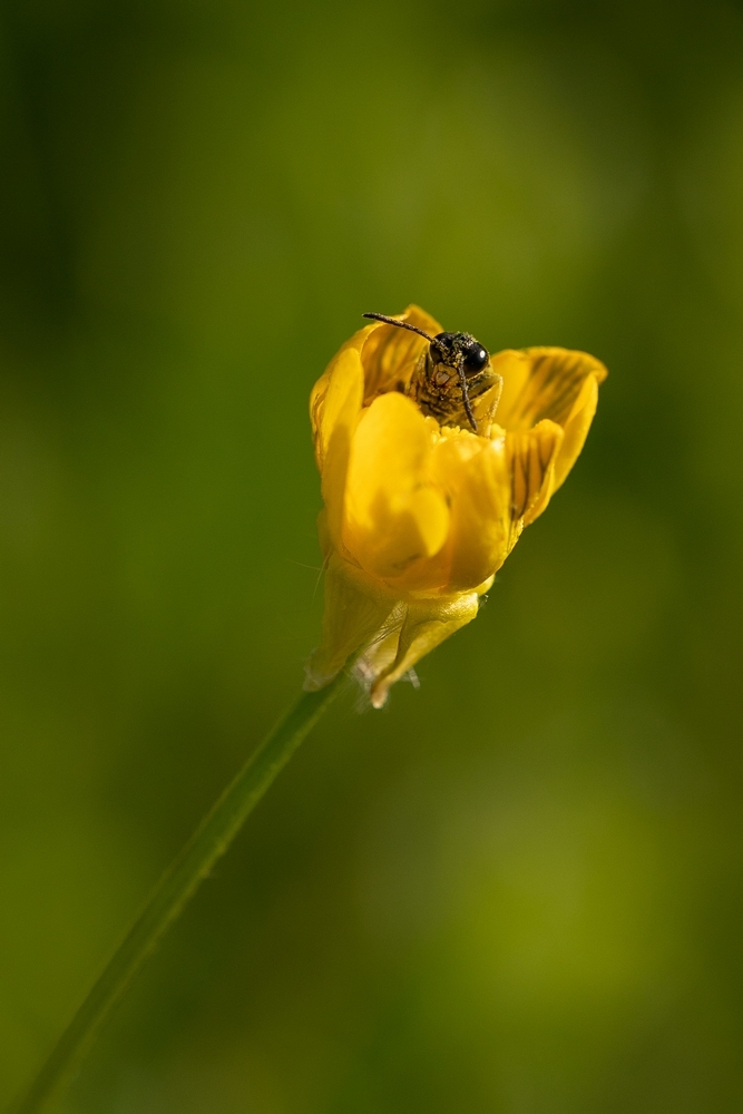 2G6A8492.jpg