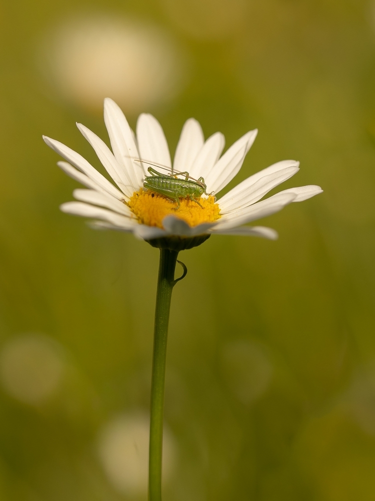 2G6A9001.jpg