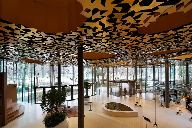 54173388450_64e251e595_c.jpg