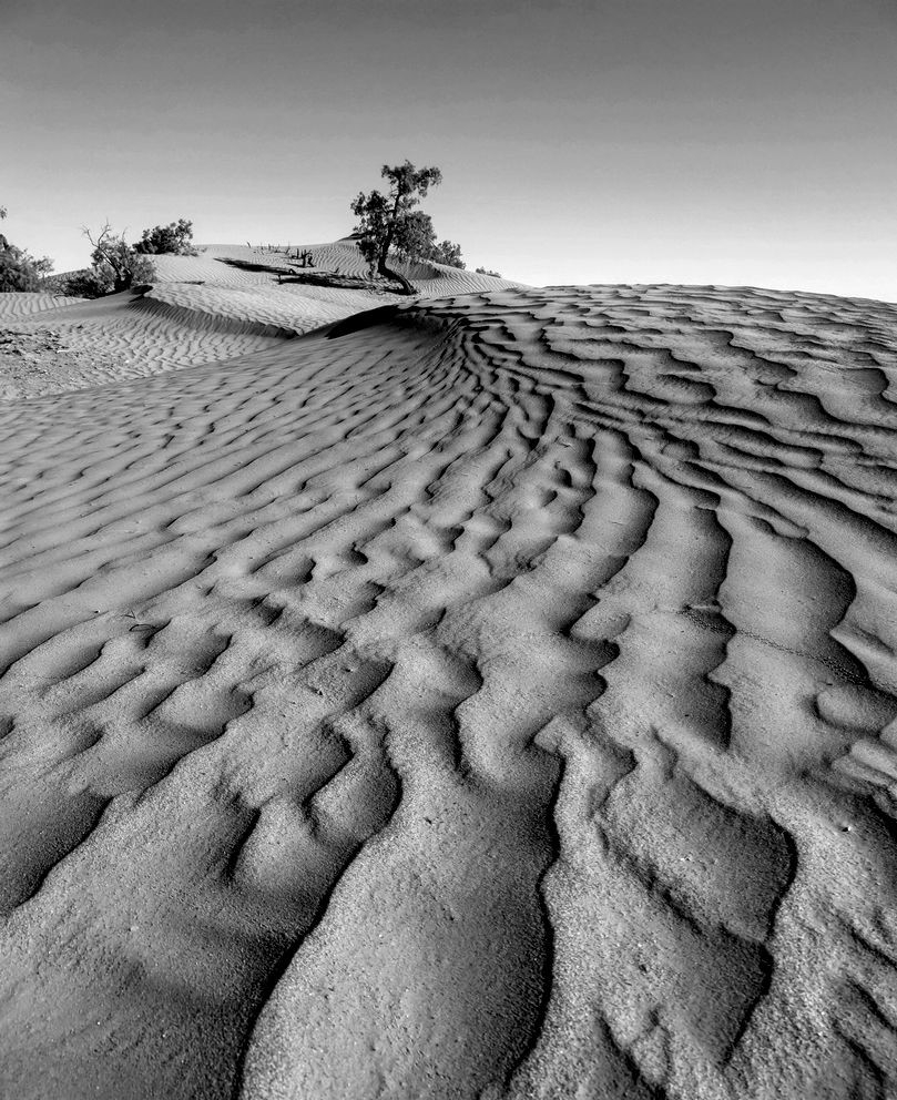 DESERT 2 B.jpg