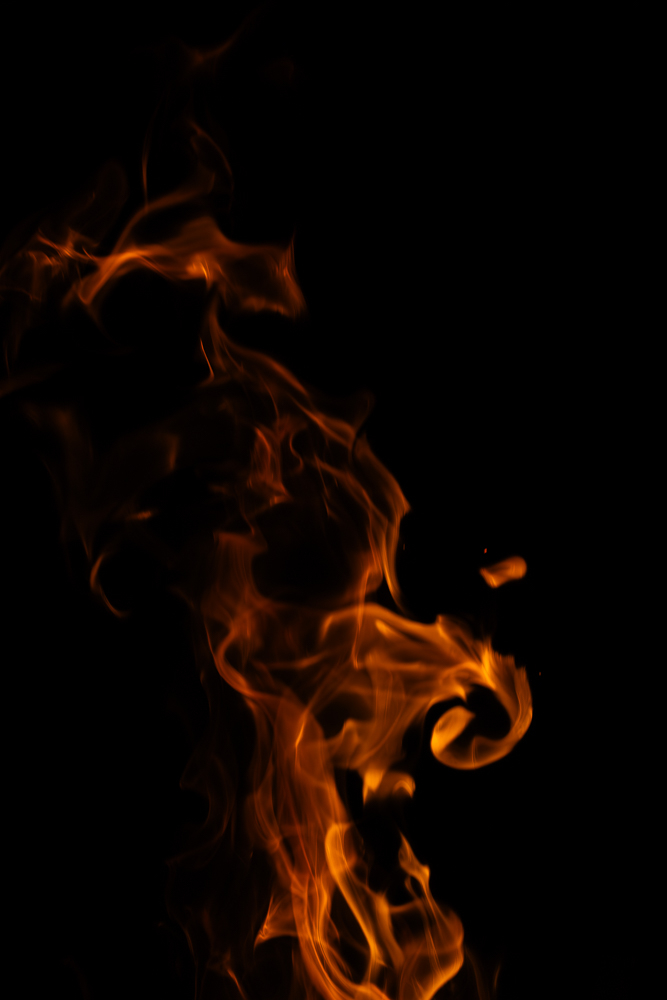 DSC08754.jpg