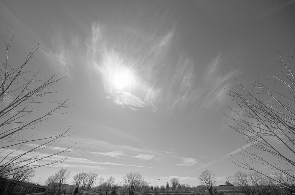 DSC_0469.jpg