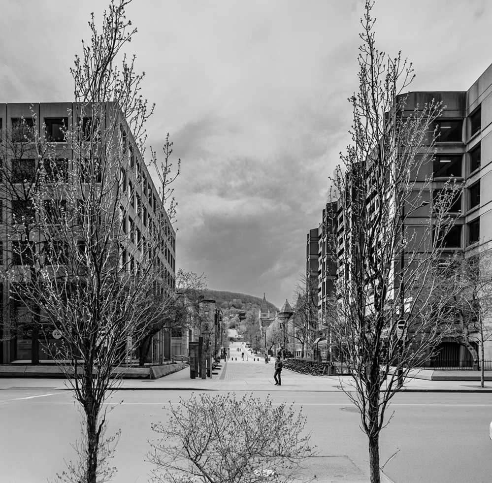 DSC_0560.jpg