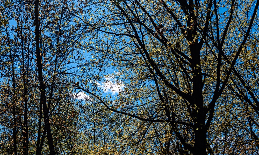 DSC_0648.jpg