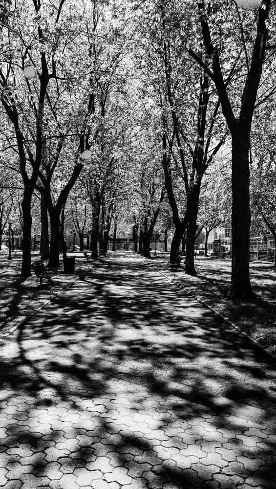 DSC_0695.jpg