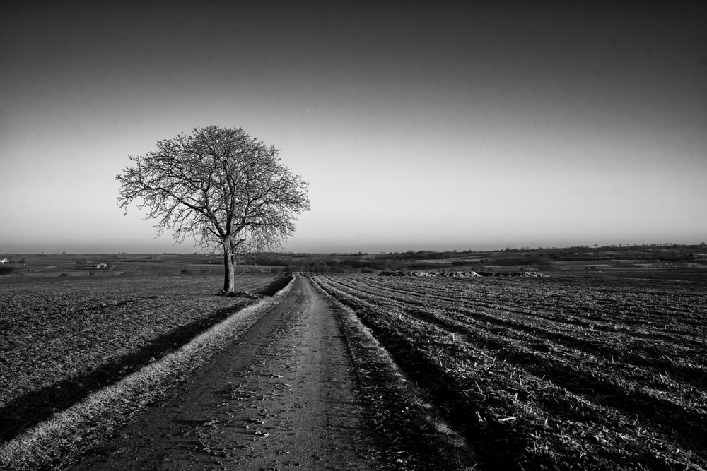 Ernoslheim nion 35mm (2).jpg