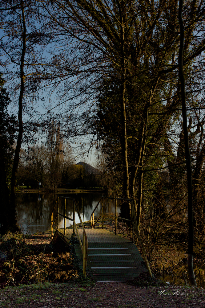 IMG_3918_DxO-def-forum.jpg