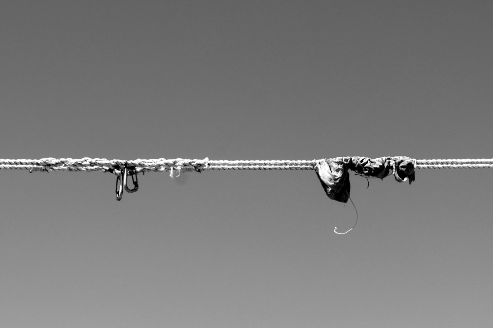 P1410076a32-1NB-1000.JPG