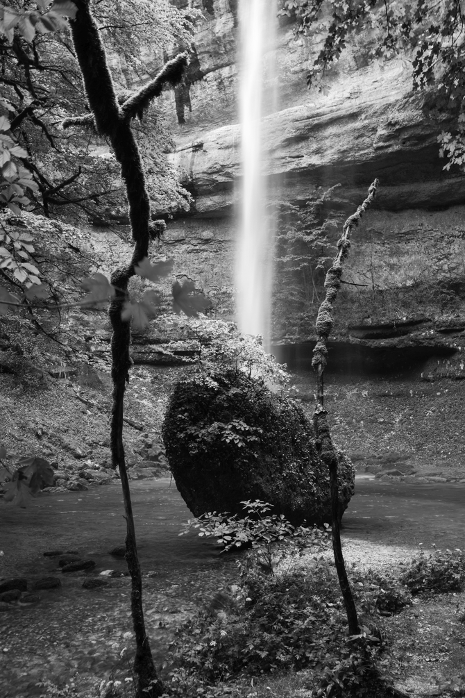 R0000604.2500.jpg