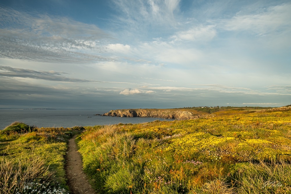_DSC5449-2.jpg