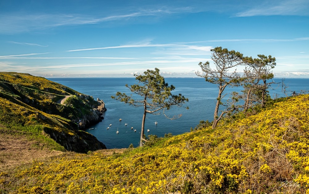 _DSC5516-1.jpg
