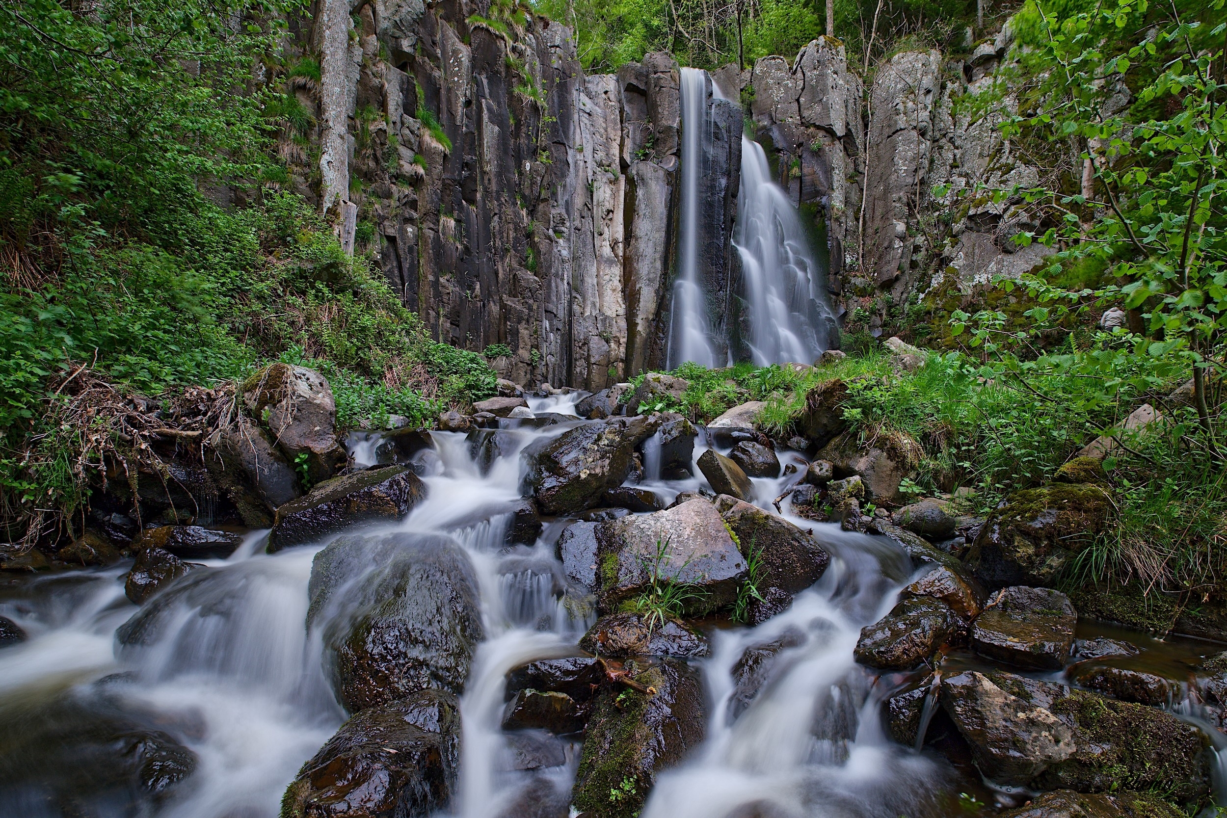large.1RAW3117.jpeg.8951c0c4b306b64885e4