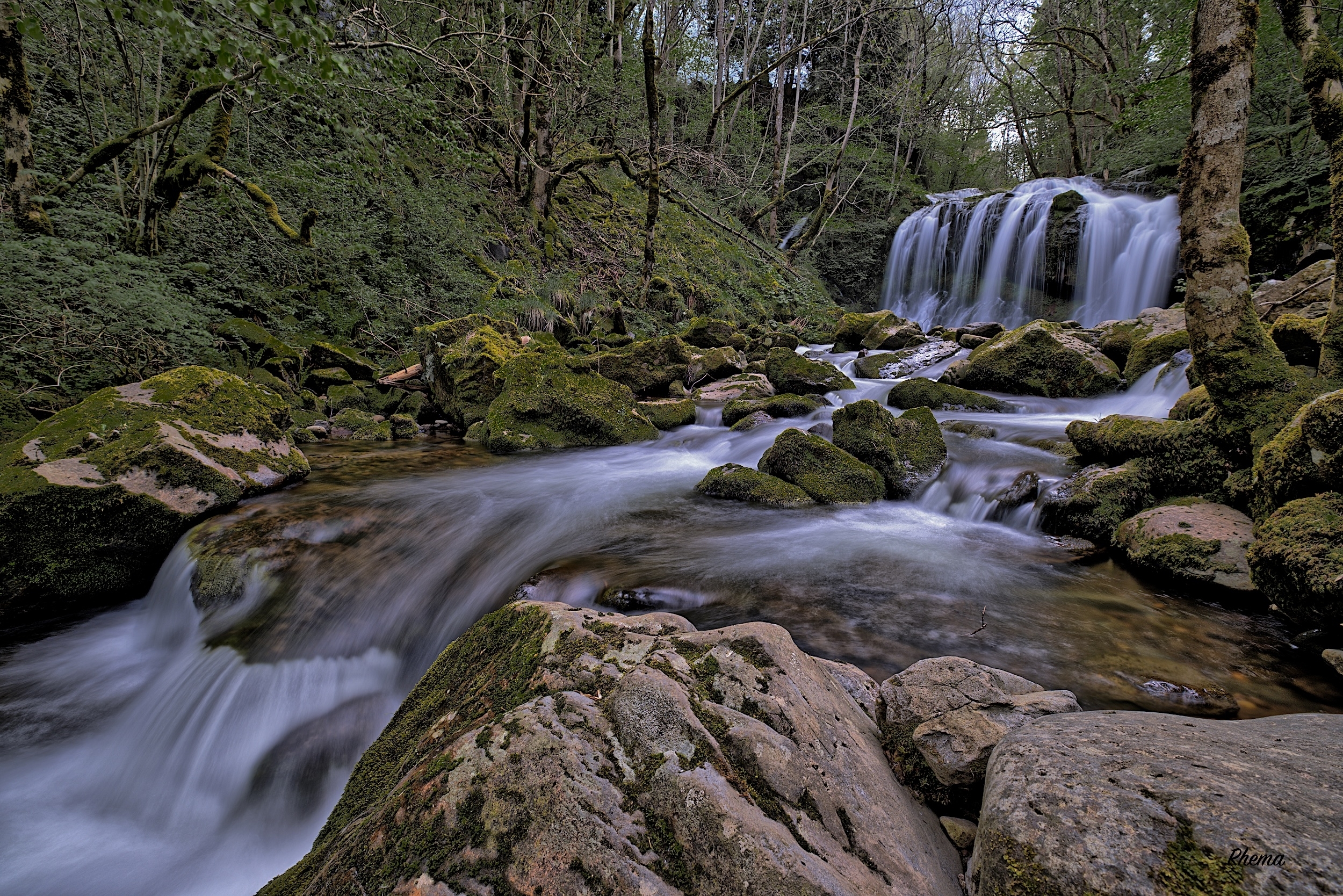 large.1RAW3284.jpeg.730fc446df793f4439b2