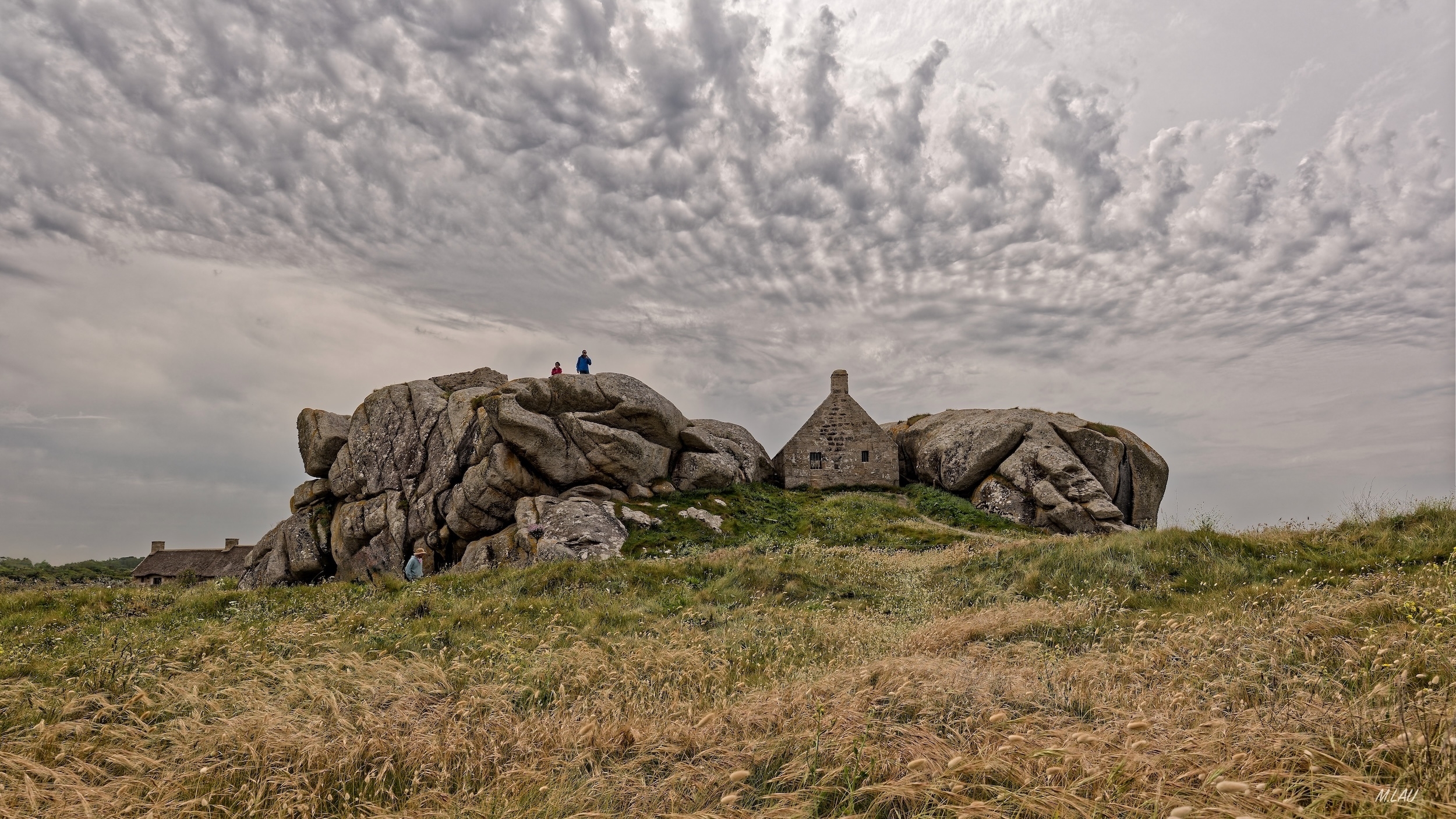 large.BRIGNOGAN_4335.jpeg