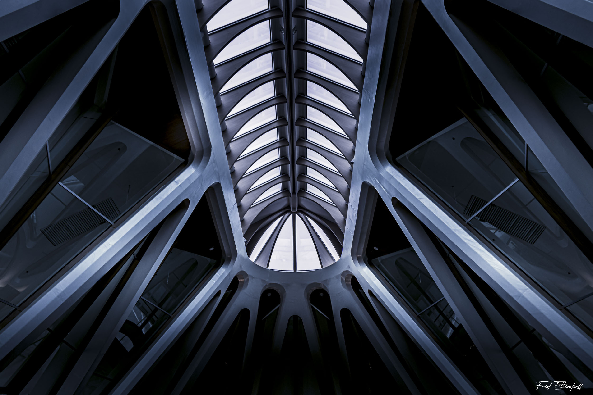 large.FB6A8829-2.jpg