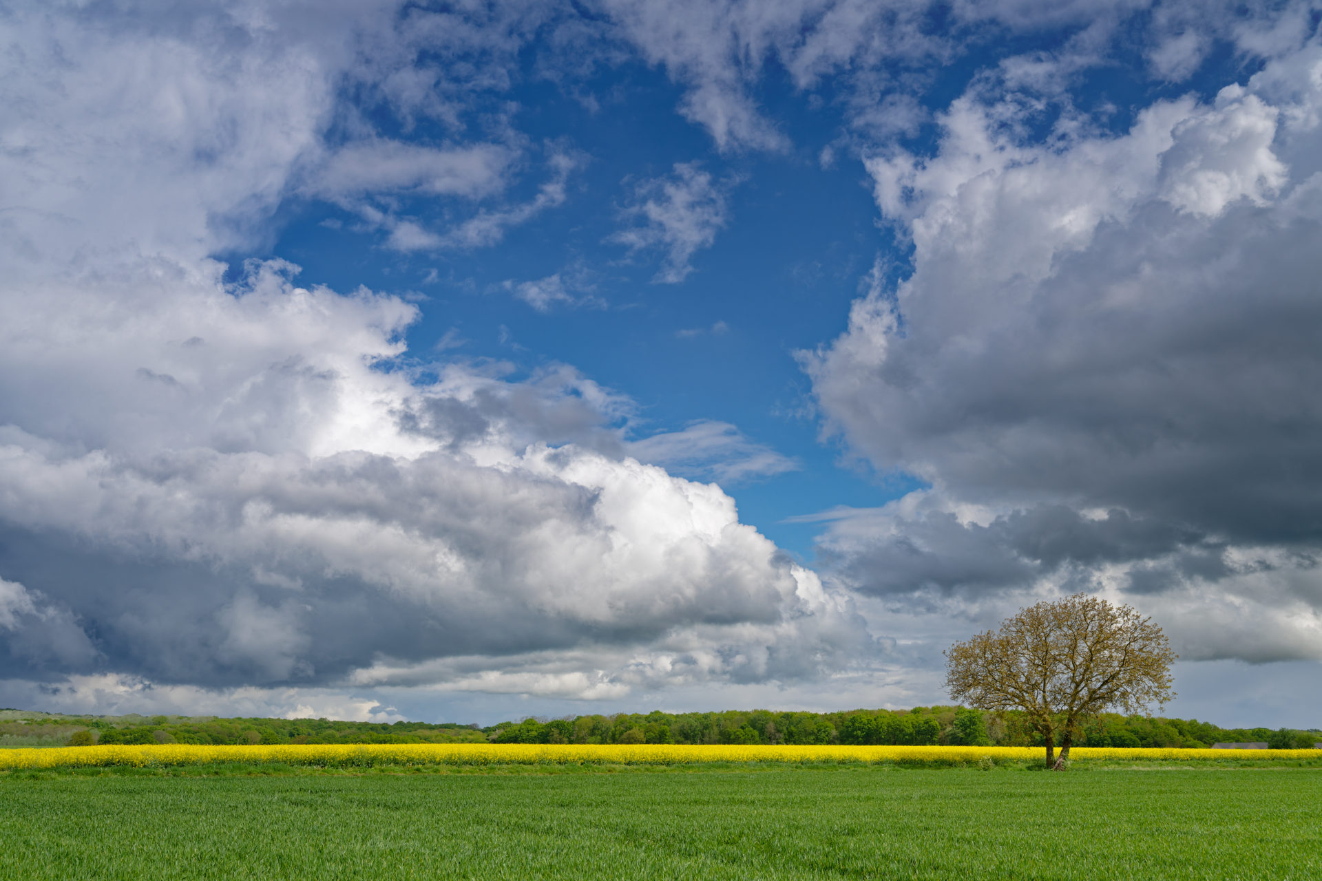 large._DSC6627.jpg