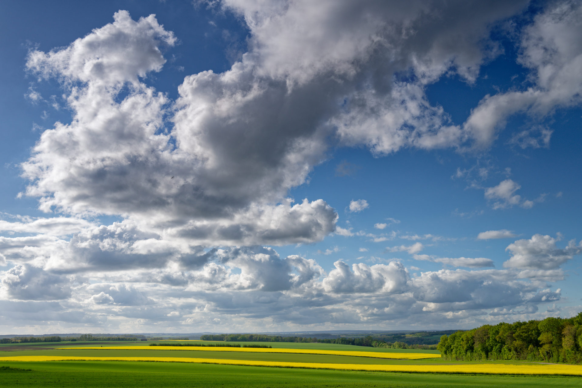 large._DSC6654.jpg