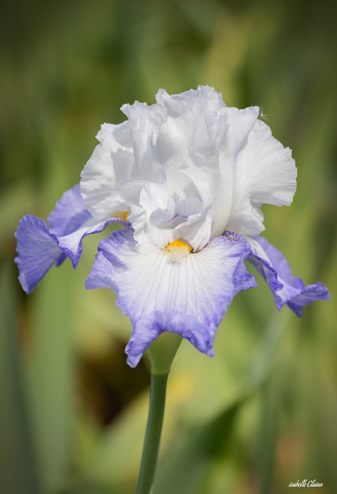 parc floral 2  fp.jpg
