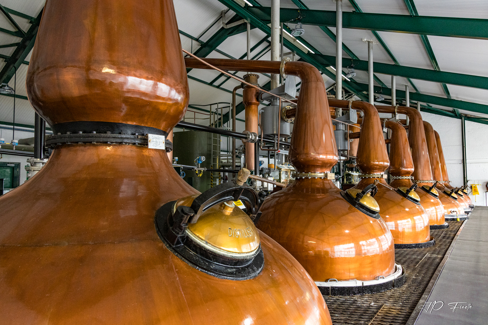 Laphroaig-2026.05.04-112216.jpg