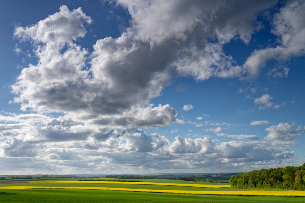 _DSC6654.jpg