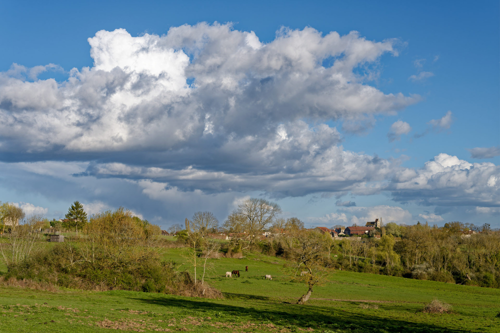 _DSC7458.jpg