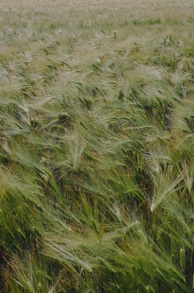 20260621_094903.jpg