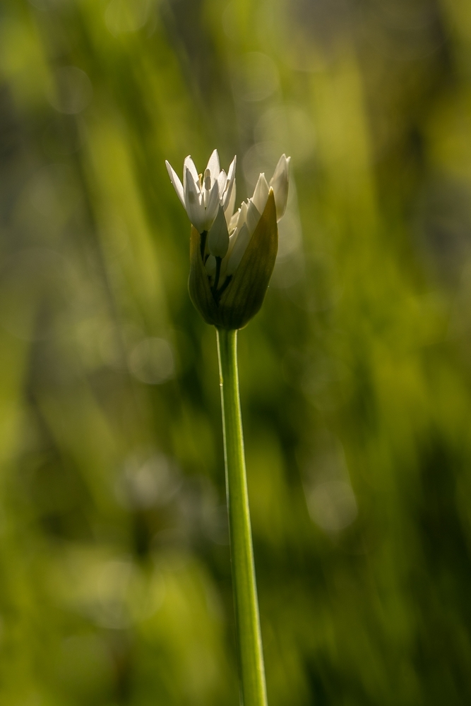 2G6A8280.jpg