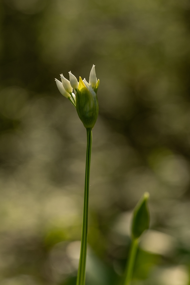 2G6A8286.jpg