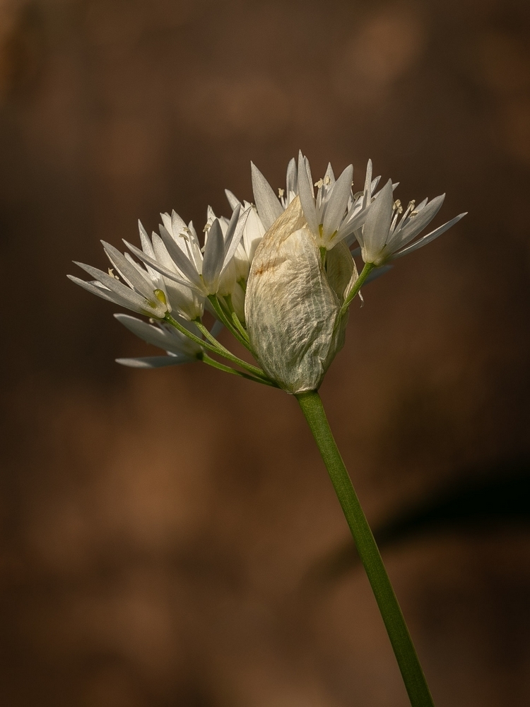 2G6A8308.jpg