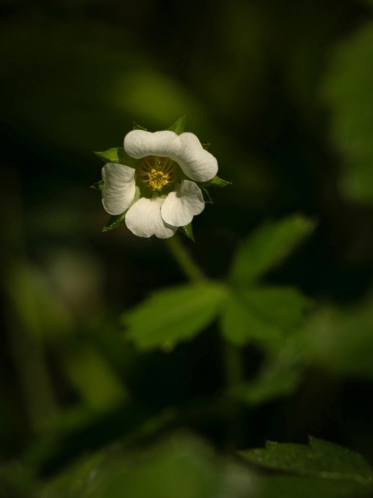 2G6A8361.jpg