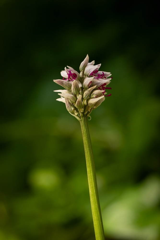 2G6A8404.jpg