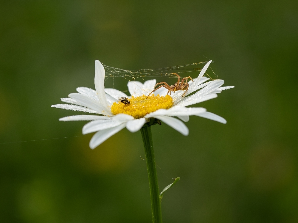 2G6A9033.jpg