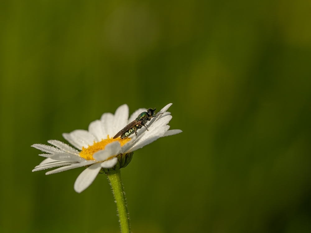 2G6A9042.jpg
