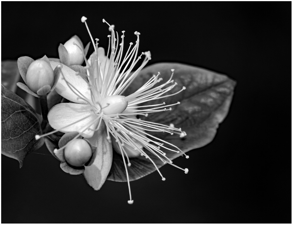 BW_12062026.jpg