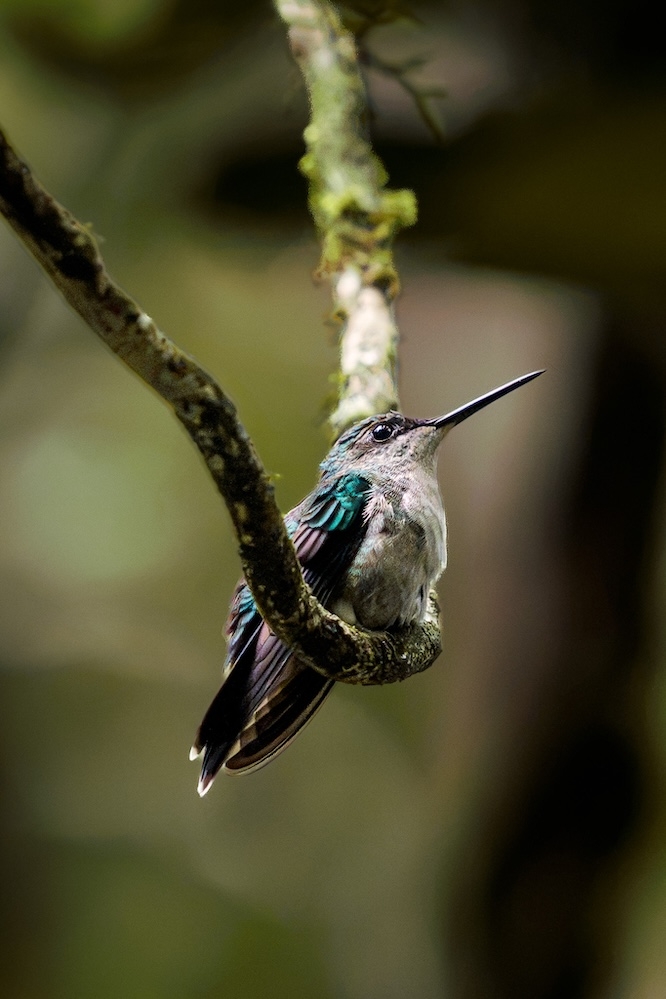 DSC07448-2.jpg