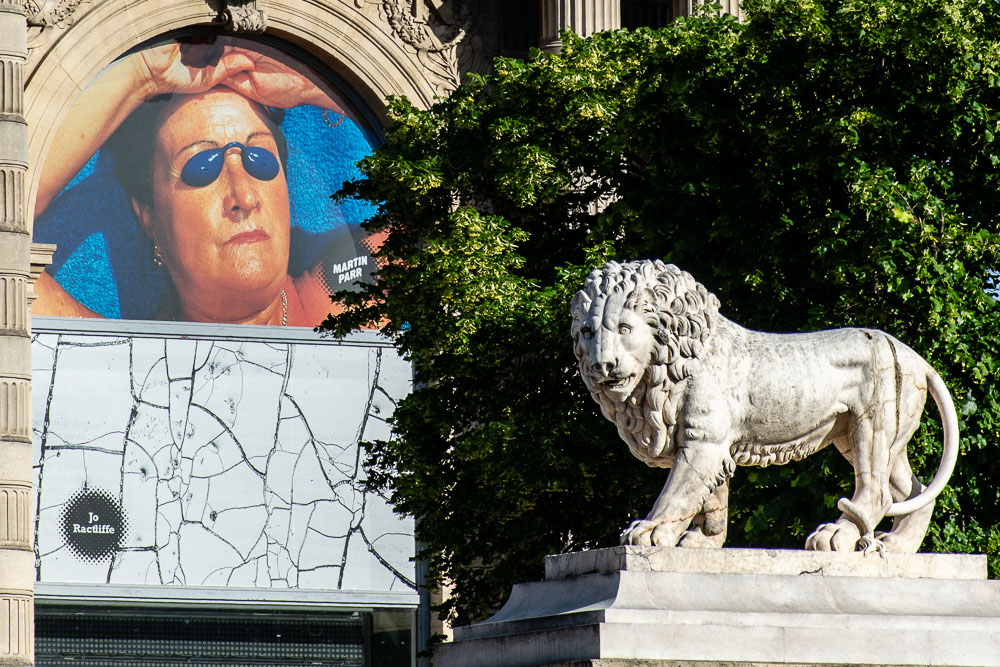 DSC_0024.jpg
