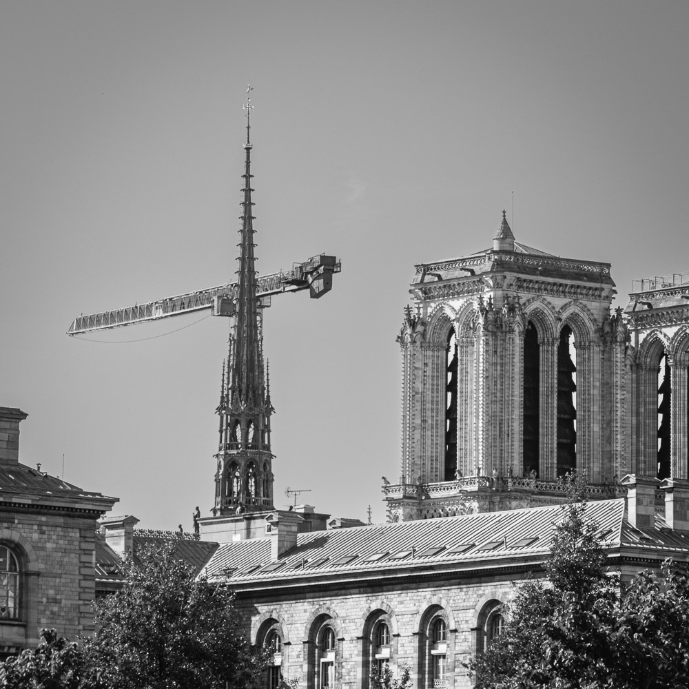 DSC_0050.jpg